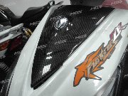 NEW FIGHTER 大盾 第 1 張圖片